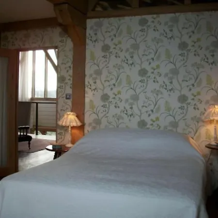 Mount Coggill كيلكيني